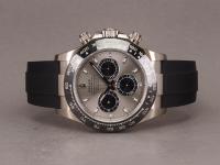 2026-02-11 - XPP2110010.JPG